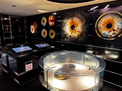 Emotions picture Emotions picture