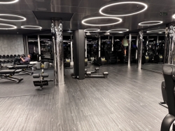 MSC Gym picture