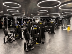 MSC Gym picture