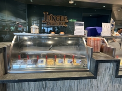 MSC Seascape Jungle Bar and Pool picture