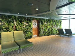 MSC Seascape Jungle Bar and Pool picture