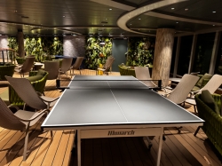 MSC Seascape Jungle Bar and Pool picture