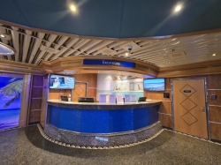 MAS Islander Flip Flop Atrium Bar picture