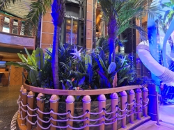 MAS Islander Flip Flop Atrium Bar picture