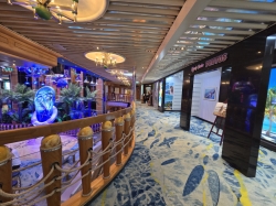 MAS Islander Cruise Photos picture