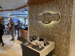 Grand Princess Good Spirits picture