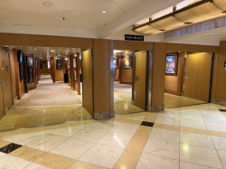 Grand Princess Art Gallery picture