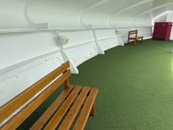 Princess Links picture