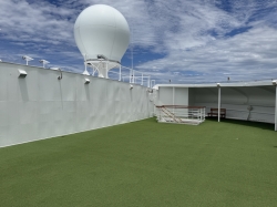 Princess Links picture