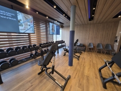 Palestra Solemio picture