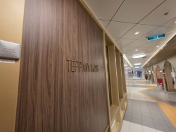Teppanyaki picture