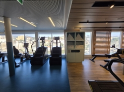 Palestra Solemio picture