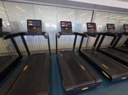 Palestra Solemio picture