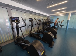 Palestra Solemio picture