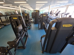 Palestra Solemio picture