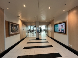 Liberty of the Seas Fitness Center picture
