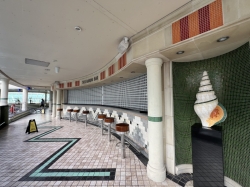 Liberty of the Seas Solarium picture
