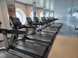Spa and Fitness Center picture