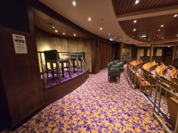 Allure of the Seas Amber Theater picture