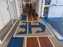 Allure of the Seas Jogging Track picture Uploaded in 2026 Photo courtesy of Celeste Agnew. Allure of the Seas Jogging Track picture