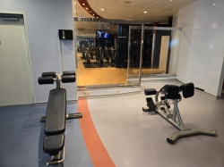 Spa and Fitness Center picture