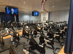 Spa and Fitness Center picture