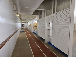 Allure of the Seas Jogging Track picture Uploaded in 2026 Photo courtesy of Celeste Agnew. Allure of the Seas Jogging Track picture