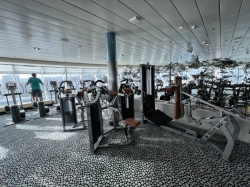 Liberty of the Seas Fitness Center picture