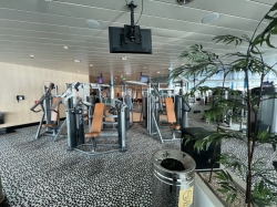 Liberty of the Seas Fitness Center picture