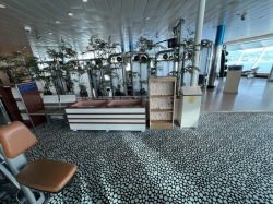 Liberty of the Seas Fitness Center picture