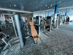 Liberty of the Seas Fitness Center picture