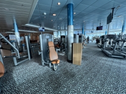 Liberty of the Seas Fitness Center picture
