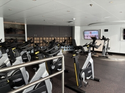 Norwegian Spirit Pulse Fitness Center picture