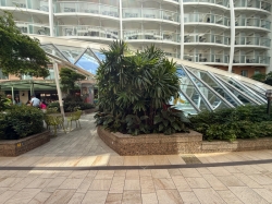 Harmony of the Seas Central Park picture