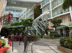 Harmony of the Seas Central Park picture