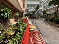 Harmony of the Seas Central Park picture