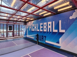 Pickleball Court picture