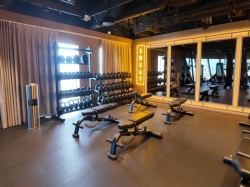 Norwegian Luna Pulse Fitness Center picture Uploaded in 2026 Photo courtesy of AR. Norwegian Luna Pulse Fitness Center picture