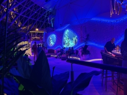 Star of the Seas Overlook Lounge picture