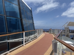 Celebrity Silhouette Jogging Track picture