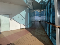 Celebrity Silhouette Jogging Track picture