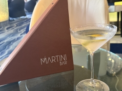 Celebrity Silhouette Martini Bar picture Uploaded in 2026 Photo courtesy of Gayle Millay. Celebrity Silhouette Martini Bar picture