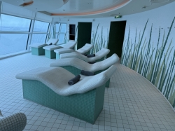 Celebrity Silhouette Persian Garden picture