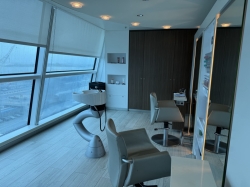 Celebrity Silhouette Hair Salon picture