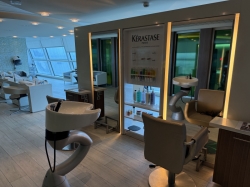 Celebrity Silhouette Hair Salon picture