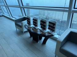 Celebrity Silhouette Hair Salon picture