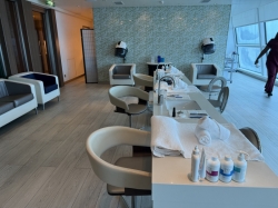 Celebrity Silhouette Hair Salon picture