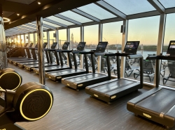MSC Gym picture