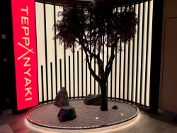 Izumi Teppanyaki picture Izumi Teppanyaki picture