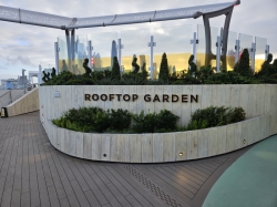 Rooftop Garden picture